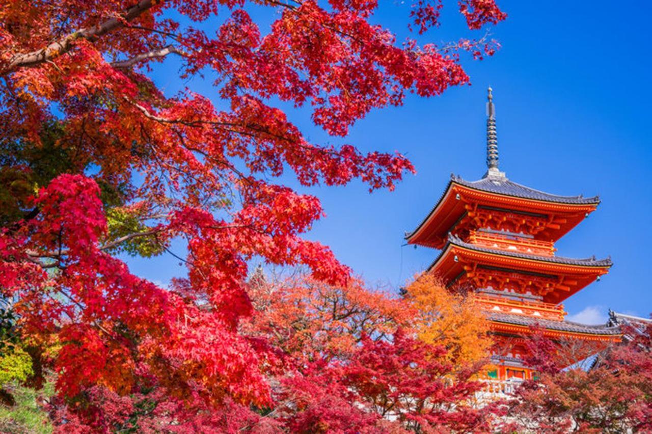 中川西 地下鉄今里駅一戸建 Samurai House Guest House Imazato 難波直通 最大7名 오사카 외부 사진